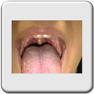 La gola di Sara (cliccare sulla foto per ingrandire)